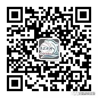 篮球训练脚步垫子_2